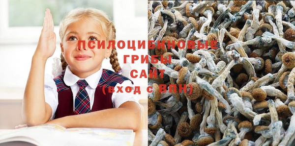 бошки Вязники